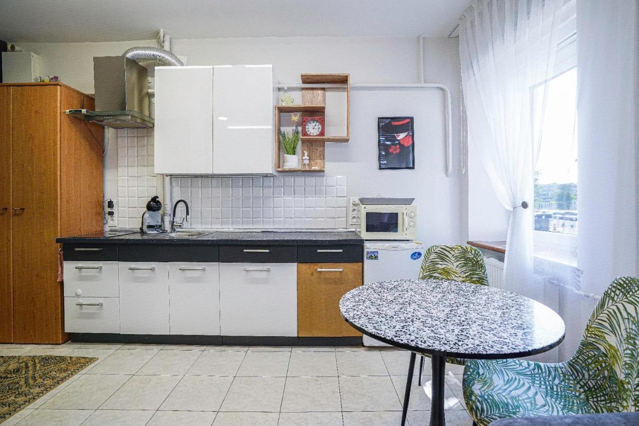 Appartamento Jaukus Ir Kokybiskas Butas Panevezio Centre Panevėžys Esterno foto